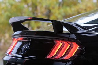 NPM18XT Heckspoiler groß für Mustang