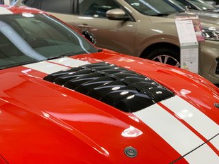 NPM18MO Ford Mustang ab 2018 - Motorhaube NP 500 