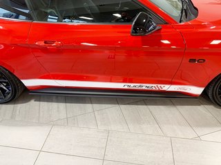NPM18SW Ford Mustang ab 2018 - Seitenschweller