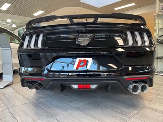 NPM18E1	Ford Mustang ab 2018 - Edelstahl Endrohre 4 x 100 mm. Eintragungsfrei