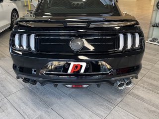 NPM18E1	Ford Mustang ab 2018 - Edelstahl Endrohre 4 x 100 mm. Eintragungsfrei