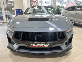 NPM24P Pony Schwarz