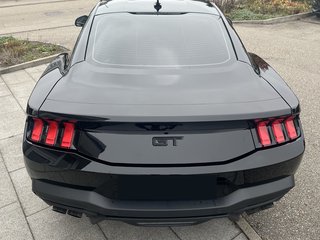 NPM24GTE Ford Mustang ab 2024 - GT Emblem schwarz