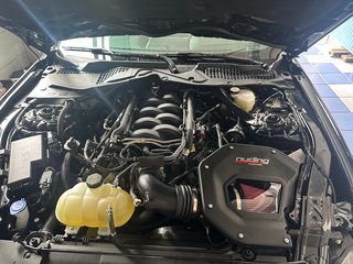 Art.-Nr. NPM18S2 Mustang ab 2018 - Stage 2