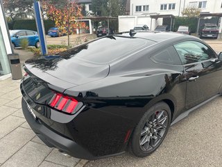 NPM24SCHT Ford Mustang ab 2024 - Scheibentönungen