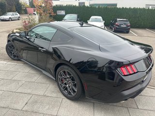 NPM24SCHT Ford Mustang ab 2024 - Scheibentönungen