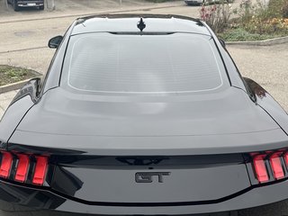 NPM24SCHT Ford Mustang ab 2024 - Scheibentönungen