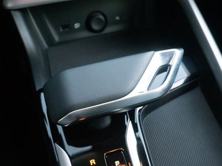 MG ZS 1.5 Hybrid+ Luxury LEDER KAMERA NAVI LED 360° - bilder 1