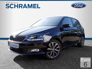 Skoda Fabia Gebrauchtwagen Kaufen