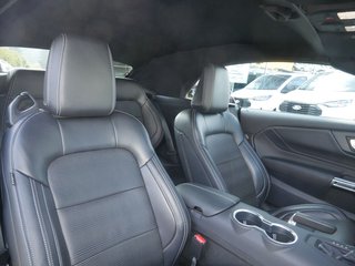 Ford Mustang 5.0 Ti-VCT V8 GT Convertible ACC B&O LED - bilder 5