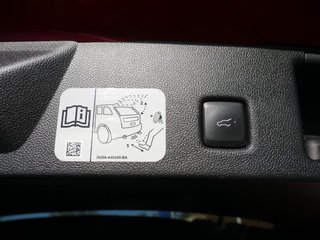 Ford Kuga 2.5 Duratec Hybrid PHEV ST-Line X FWD LED - bilder 9