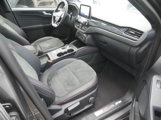 Ford Kuga 2.0 EcoBlue ST-Line X AHK ACC HUD B&O LED - foto 2