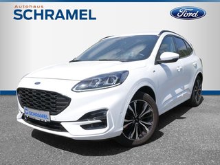 Ford Kuga Gebrauchtwagen Kaufen