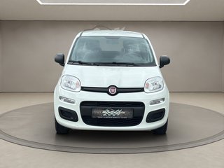 Fiat Panda Used vehicle for sale