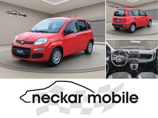 Fiat Panda Gebrauchtwagen Kaufen