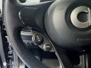 smart fortwo cabrio EQ Matt-Lackierung - foto 17