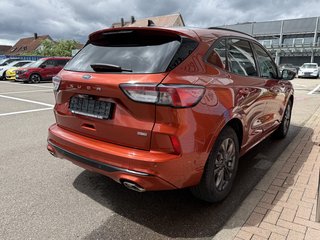 Ford Kuga Plug-In Hybrid ST-Line X /AHK/Panoschiebedach/Schutzbrief - bilder 8