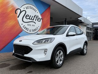Ford Kuga Gebrauchtwagen Kaufen