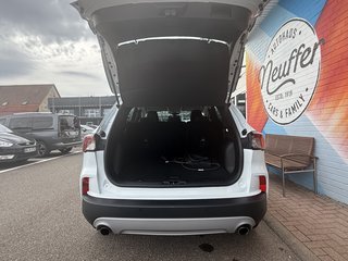 Ford Kuga Plug-In Hybrid Cool & Connect /AHK abnehmbar - bilder 7