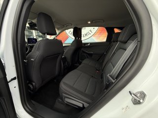 Ford Kuga Plug-In Hybrid Cool & Connect /AHK abnehmbar - bilder 10