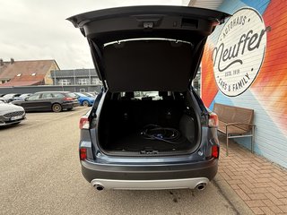 Ford Kuga Plug-In Hybrid Titanium X/Ergonomie-Sitze - bilder 7