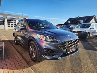 Ford Kuga ST-Line X /Head-Up/ACC/Bang&Olufsen - bilder 7
