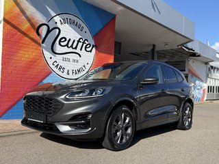 Ford Kuga Gebrauchtwagen Kaufen