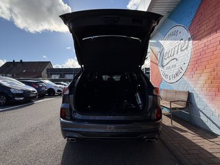 Ford Kuga Plug-In Hybrid ST-Line X/LED/ACC/Winter-Paket2 - bilder 8