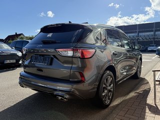 Ford Kuga Plug-In Hybrid ST-Line X/LED/ACC/Winter-Paket2 - bilder 7