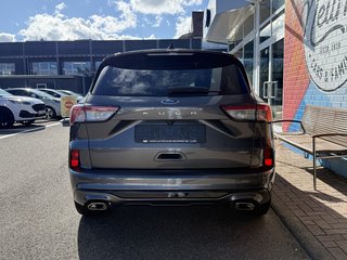 Ford Kuga Plug-In Hybrid ST-Line X/LED/ACC/Winter-Paket2 - bilder 6