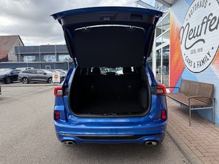 Ford Kuga Plug-In Hybrid ST-Line X/360"Kamera/ACC - bilder 7
