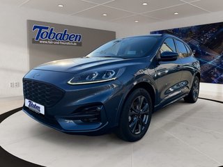 Ford Kuga Gebrauchtwagen Kaufen