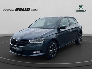 Skoda Fabia Gebrauchtwagen Kaufen