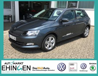 Skoda Fabia Gebrauchtwagen Kaufen