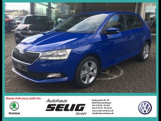 Skoda Fabia age.one-day registration Kaufen