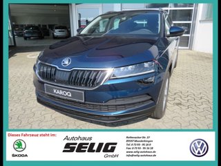 Skoda Karoq age.one-day registration Kaufen