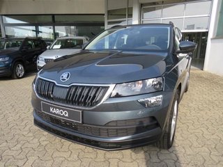 Skoda Karoq Vorführfahrzeug Kaufen