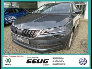 Skoda Karoq age.one-day registration Kaufen