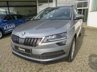 Skoda Karoq age.one-day registration Kaufen