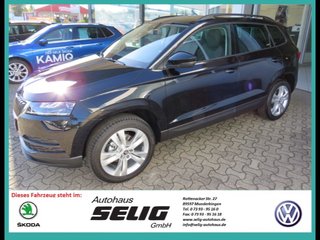Skoda Karoq age.one-day registration Kaufen