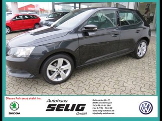 Skoda Fabia Gebrauchtwagen Kaufen