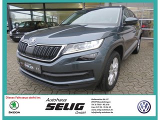 Skoda Kodiaq Gebrauchtwagen Kaufen