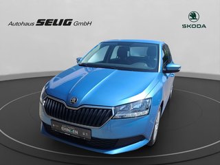 Skoda Fabia Gebrauchtwagen Kaufen