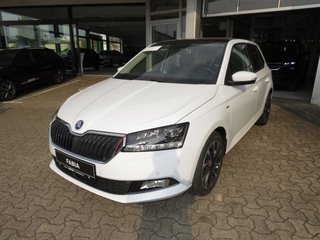 Skoda Fabia Gebrauchtwagen Kaufen