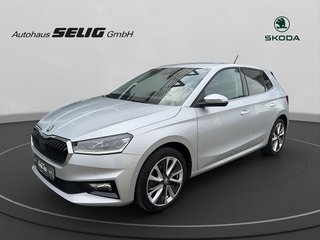 Skoda Fabia Gebrauchtwagen Kaufen
