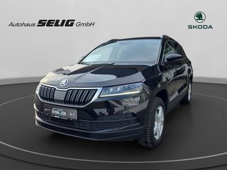 Skoda Karoq Gebrauchtwagen Kaufen