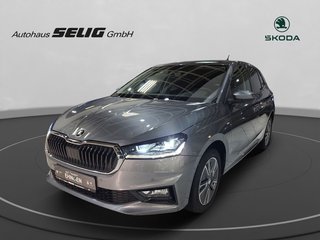 Skoda Fabia Gebrauchtwagen Kaufen