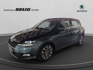 Skoda Fabia Gebrauchtwagen Kaufen