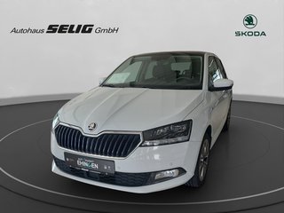 Skoda Fabia Gebrauchtwagen Kaufen