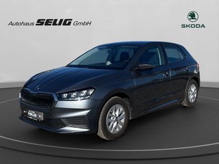 Skoda Fabia Gebrauchtwagen Kaufen